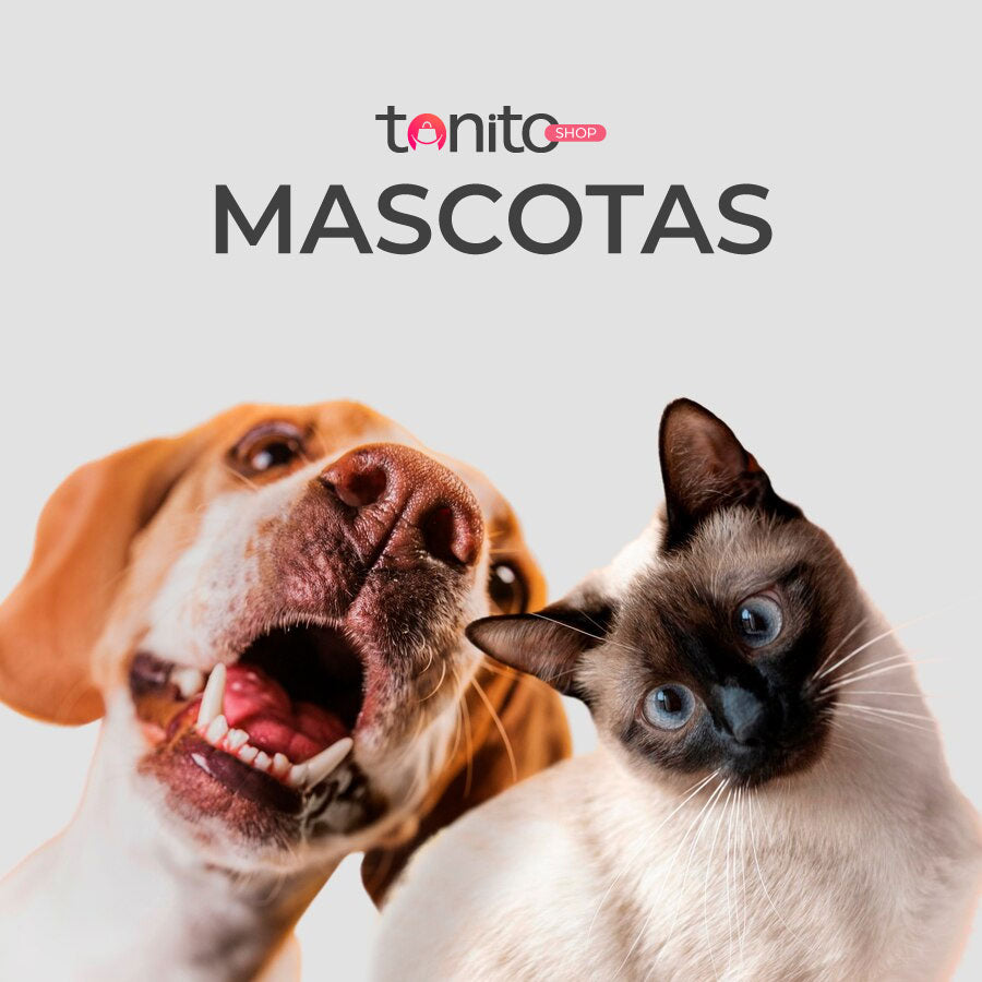 Mascotas