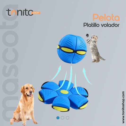 PELOTA PLATILLO VOLADOR