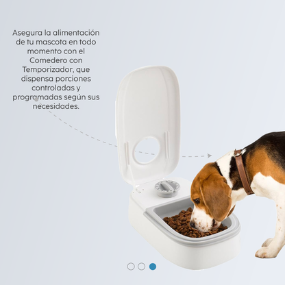 COMEDERO CON TEMPORIZADOR ALIMENTO MASCOTA